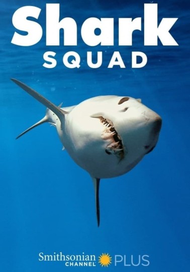 Shark Squad Season 1封面图